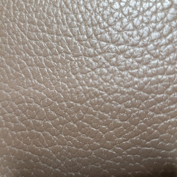 NWT STEVE MADDEN Mushroom Crossbody - Picture 2 of 10